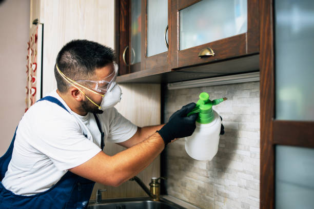 Pest Control for Restaurants in Milford Square, PA