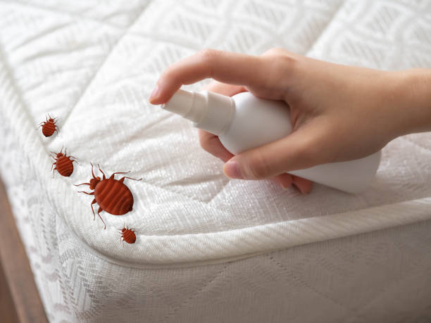 Best Flea Control Services  in Milford Square, PA