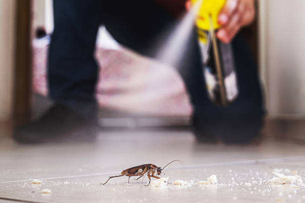 Best Pest Inspection Near Me  in Milford Square, PA