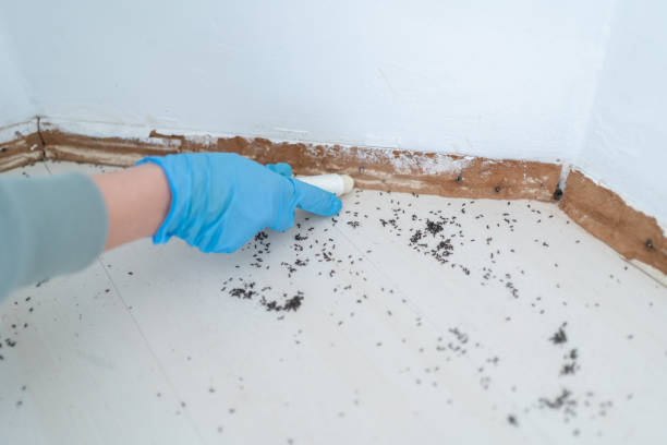 Trusted Milford Square, PA Pest Control Experts